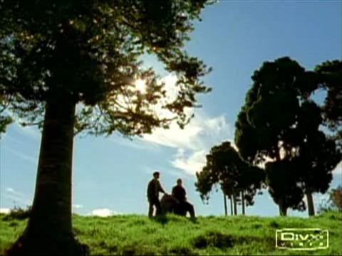 35.huntercam21.jpg